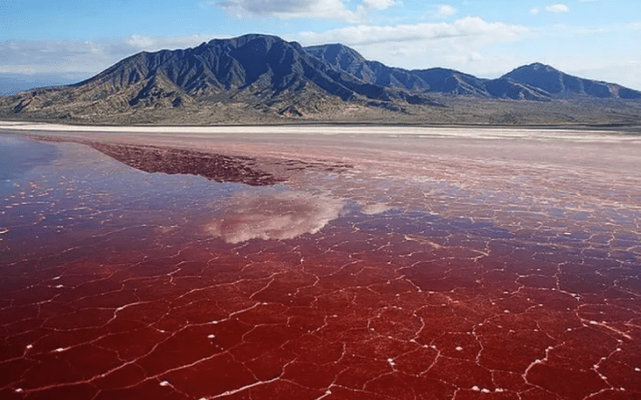 lake natron